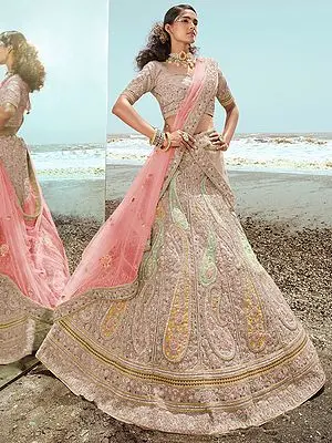 Beige Organza Lehenga Choli with Dori-Thread-Zarkan Work and Soft Net Dupatta