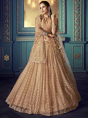 Beige Soft Net Chevron Sequined Pattern Lehenga Choli with Dupatta