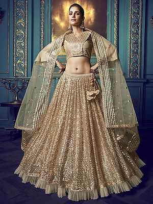 Dusky-Beige Soft Net Lehenga and Mid-Length Bell Sleeve Choli with All-Over Sequins Work