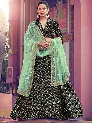 Black Fur Lehenga and Lapel Collar Deep Neck Choli with All-Over Clover Bail Sequins Work