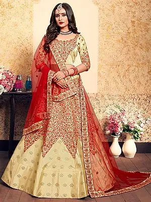 Satin Panelled Lehenga Choli with Swarovski Work, Multicolor Floral Thread Embroidered in Chevron Pattern