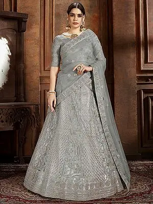 Soft Net Butta Thread-Zari Embroidered Panel Lehenga Choli with Zarkan and Pearl Work