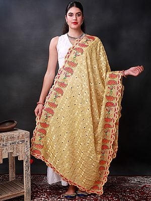 Phulkari Dupatta from Punjab with Multicolor Pair Of Peacock Embroidered Motif and Bead-Mirror Work