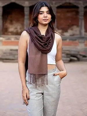 Pashmina Silk Ombre Pattern Stole from Nepal