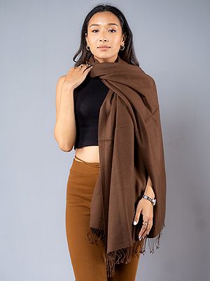 Pashmina Silk Plain Weave Stole from Nepal with Fringes