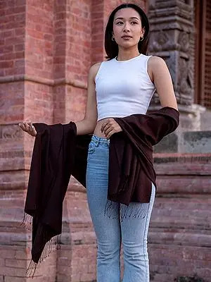Plain Weave Pashmina Silk Fringe Stole from Nepal