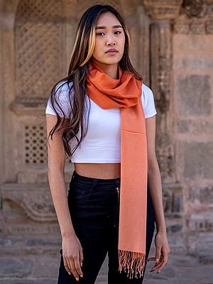 Bird-Of-Paradise Double-Shaded Pashmina Silk Scarf From Nepal With Single String Tassel