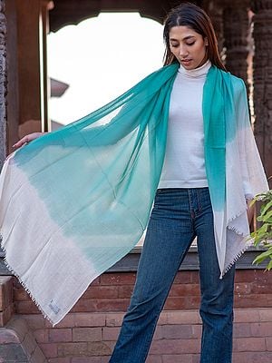 Dual Shaded Pashmina Stole