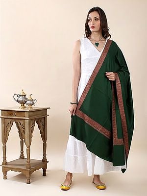 Formal-Garden Pure Pashmina Shawl with All-Over Twill Weave and Sozni Hand-Embroidered Vine Pattern Border
