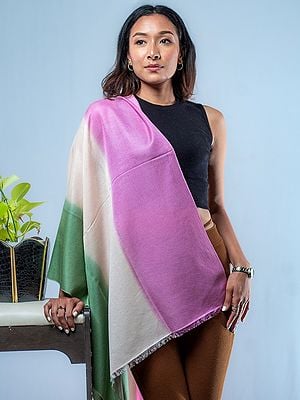 Tricolor Reversible Pashmina Silk Stole from Nepal