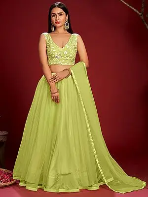 Daiquiri-Green Net Lace Work Lehenga with Floral Vine Pattern Taffeta Silk Choli and Dupatta