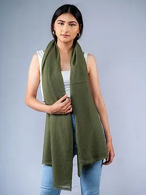 Olive-Branch Pure Pashmina Plain Weave Stole from Nepal