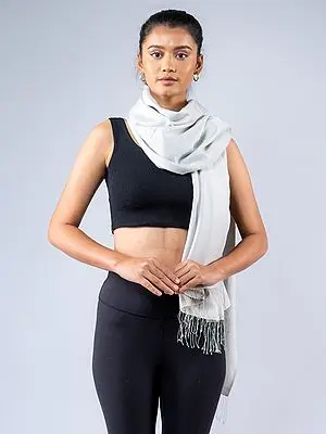 Vaporous-Gray Reversible Pashmina Silk Stole from Nepal with Fringe