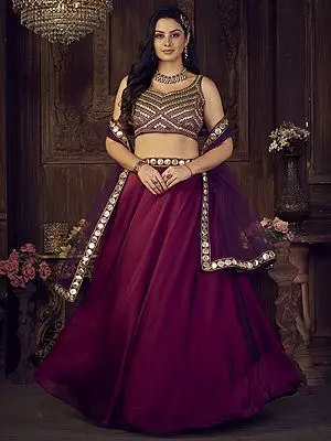 Maroon Rangoli Silk Embroidered Lehenga Choli with Purple Dupatta