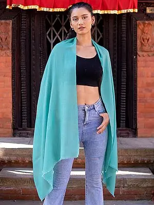 Pure Pashmina Cashmere Solid Color Plain Stole from Nepal