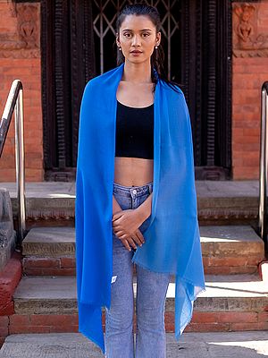 Blue-Aster Dual Shaded Pure Pashmina Stole from Nepal