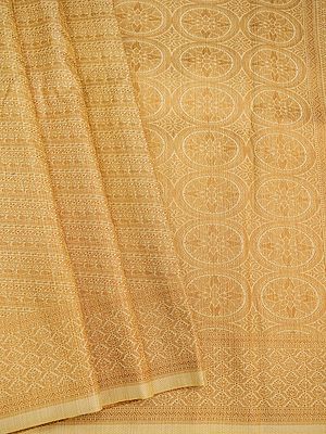 Tanchoi Silk Banarasi Aztec-Paisley-Floral Motif Saree With Antique Resham Work And Floral Chakra Pattern Pallu