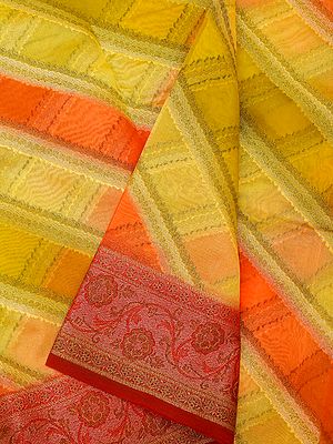 Multicolor Georgette Hand-Dye Printed Banarasi Saree With Ogee Floral Pattern Pallu And Vine Pattern Border