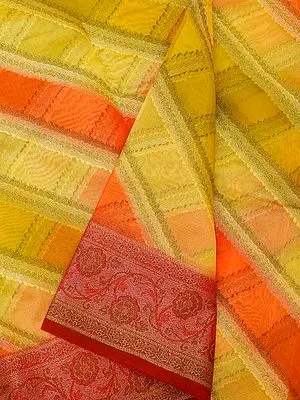Multicolor Georgette Hand-Dye Printed Banarasi Saree with Ogee Floral Pallu & Vine Pattern Border