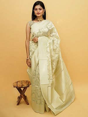 Cream Tissue Patola Jaal Banarasi Saree With Mango Motif On Pallu