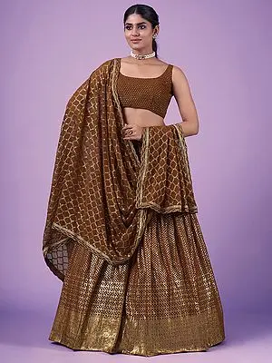 Brown Georgette Lehenga Choli with Zari-Sequins Work and Dupatta