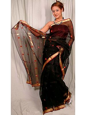 Black Chanderi Sari with Golden Border