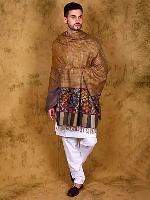 Reversible Pastry-Shell Checkered Pure Pashmina Shawl for Men with Flowers Woven Kani Border