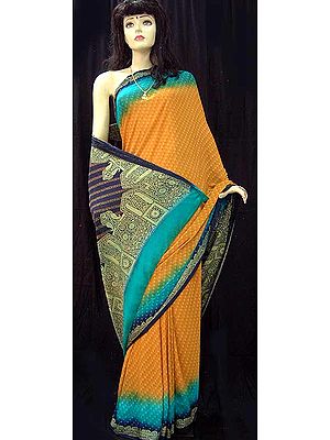 Multi Colored Chiffon Sari
