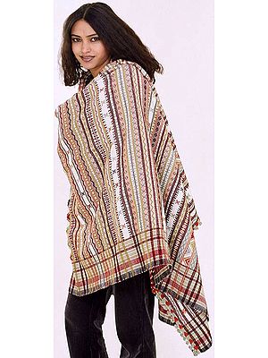 Ploychrome Shawl from Kutchh