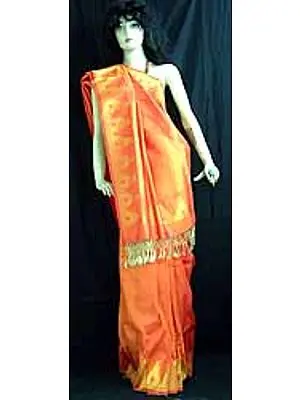 Rangoli Sari