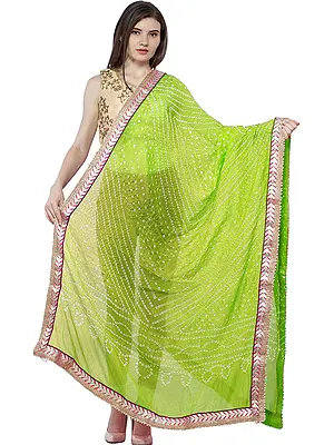 Dupatta from Jodhpur with Tie-dye Print and Gota Border