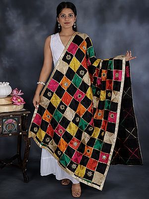 Multicolor Embroidered Phulkari Dupatta from Punjab with Mirrors and Beaded Zari Border