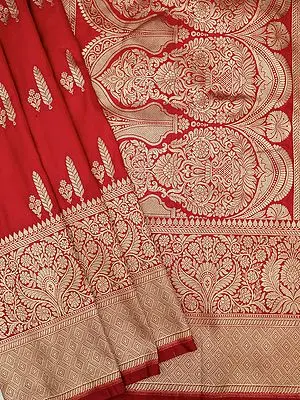 Poppy-Red Banarasi Katan Silk Saree With Feather Motif And Mughal Floral Pattern Border & Pallu