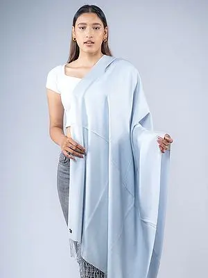 Sky-Blue Jacquard Silk Plain Shawl from Nepal with Fringe