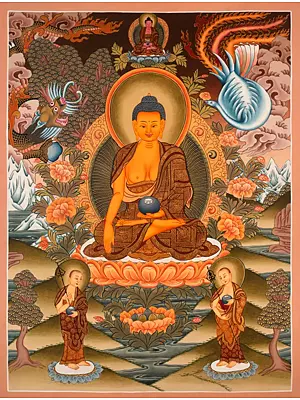 Shakyamuni Buddha Thangka (Brocadeless Thangka)