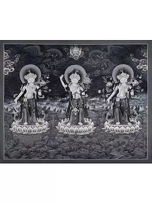 Black and White manjushree,green tara and white tara thangka in newari style Thangka (Brocadeless Thangka)
