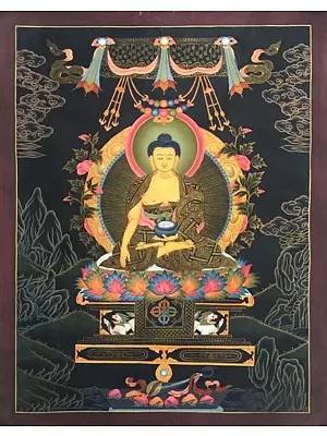Shakyamuni Buddha Thangka (Brocadeless Thangka)