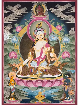 Goddess White Tara Thangka (Brocadeless Thangka)