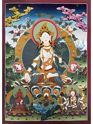 Goddess White Tara Thangka (Brocadeless Thangka)