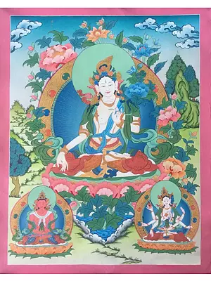 Goddess White Tara Thangka (Brocadeless Thangka)