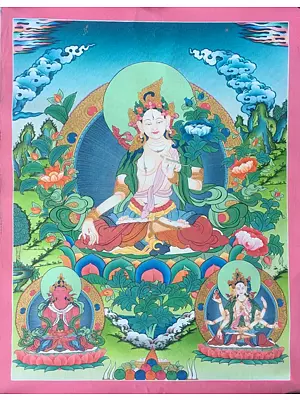 Goddess White Tara Thangka (Brocadeless Thangka)