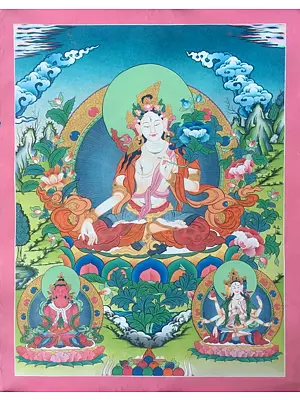 Goddess White Tara Thangka (Brocadeless Thangka)
