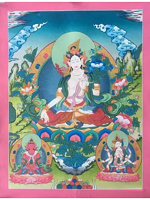 Goddess White Tara Thangka (Brocadeless Thangka)