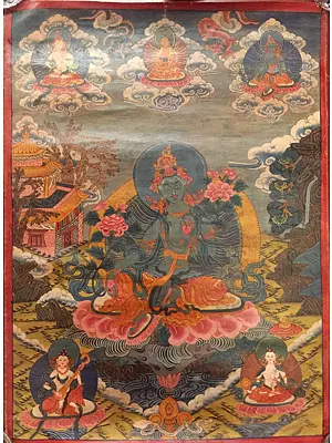 Very Rare Vintage Green Tara Thangka with Oil Varnish (Brocadeless Thangka)