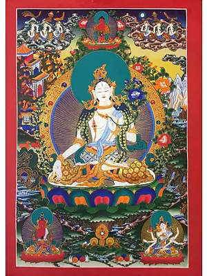 Goddess White Tara (Brocadeless Thangka)
