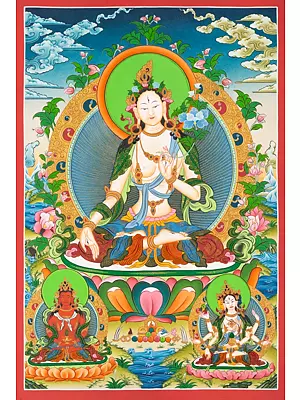 White Tara Thangka (Brocadeless Thangka)