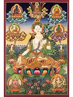 White Tara with Five Buddhas Thangka (Brocadeless Thangka)