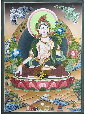 White Tara Thangka Painting (Brocadeless) | Pure 24 Carat Gold on Cotton Canvas