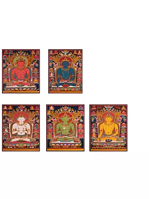 Newari 5 Dhyani Buddhas (Brocadeless Thangka)