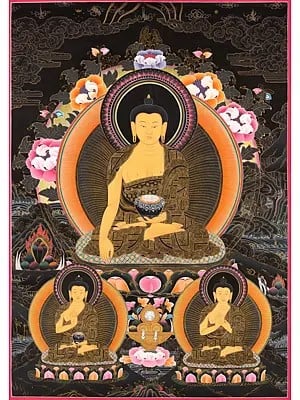 Lord Buddha (Brocadeless Thangka)